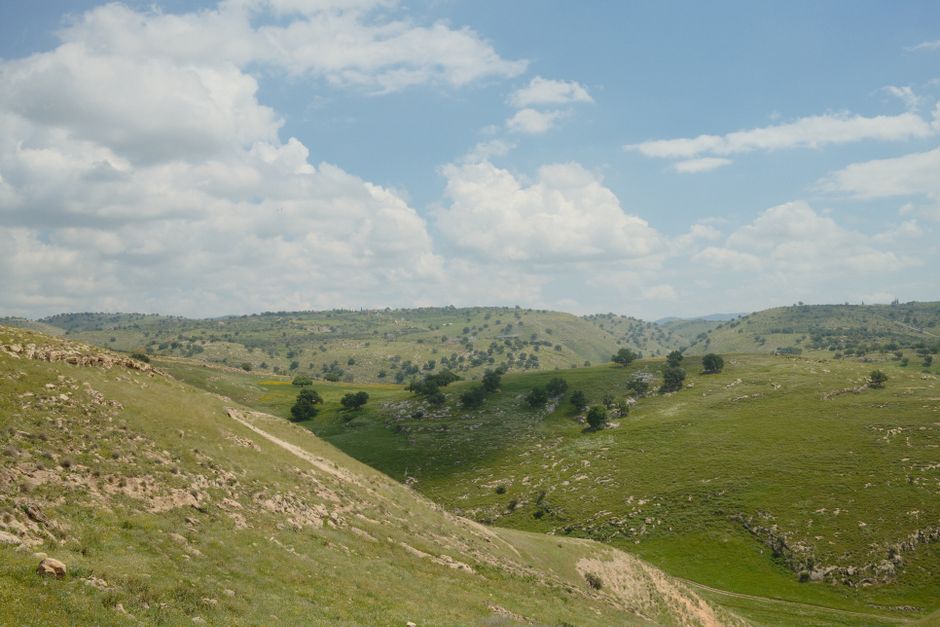 Historic California ranchland and mineral rights management