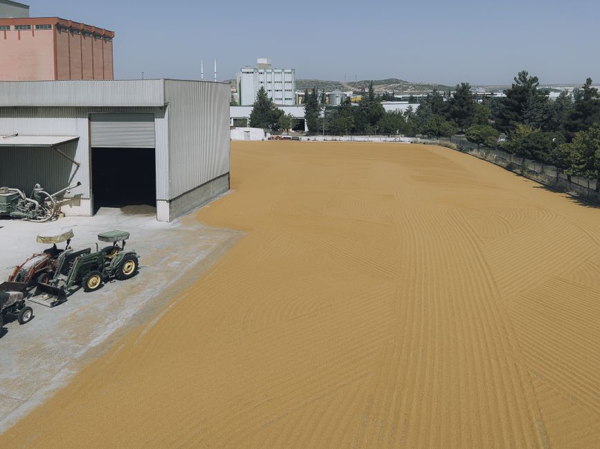 Grain storage and animal feed processing facility