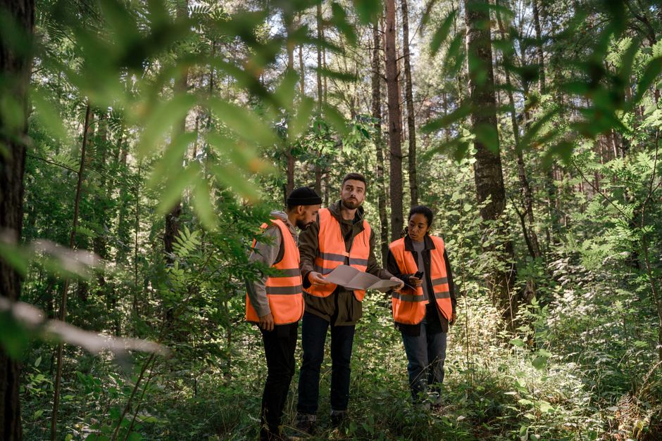 Forestry staff inspecting timberland resources