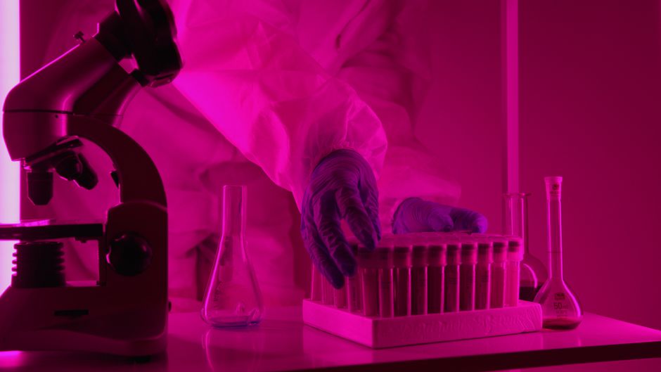 Scientists developing biotechnology solutions in a laboratory