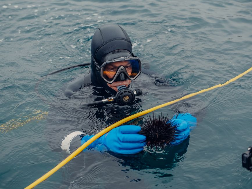 Field researcher studying aquatic habitats