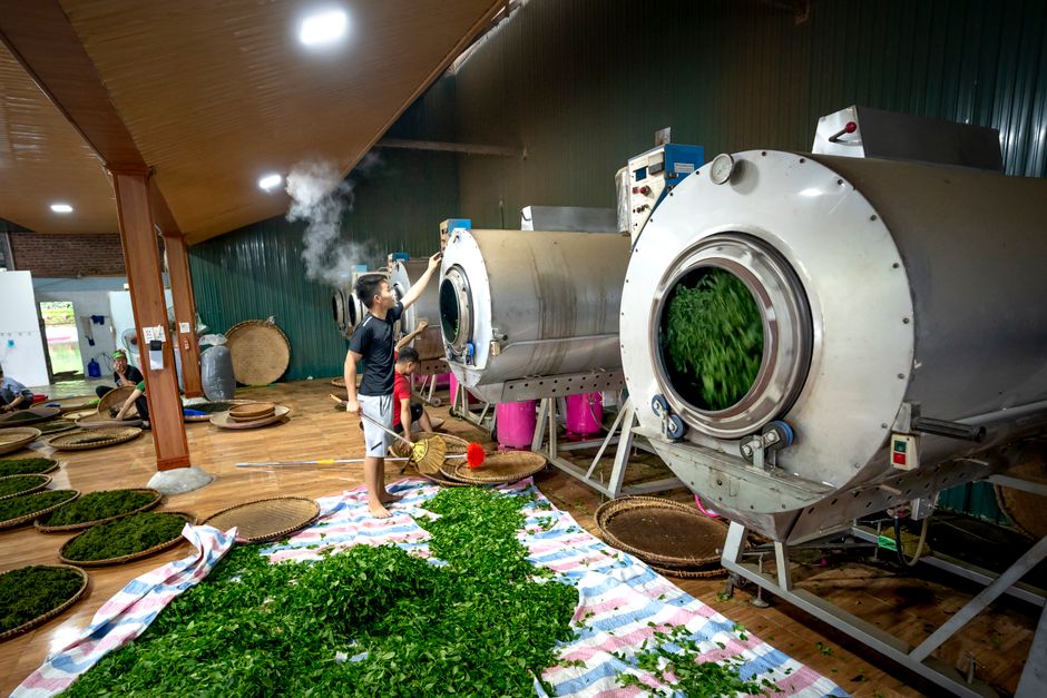 Herbal tea production facility