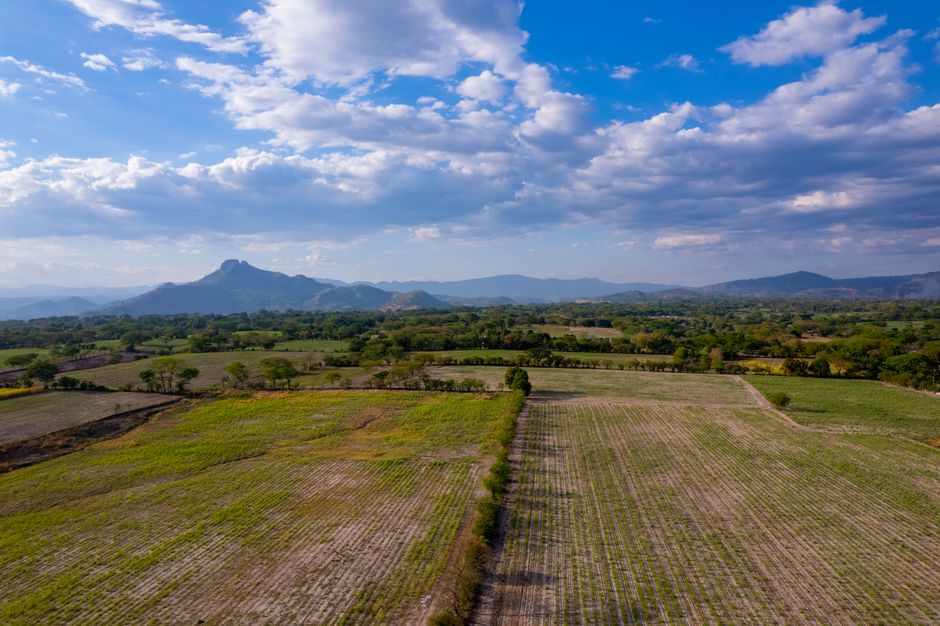 Central Valley farmland with mountains in the background