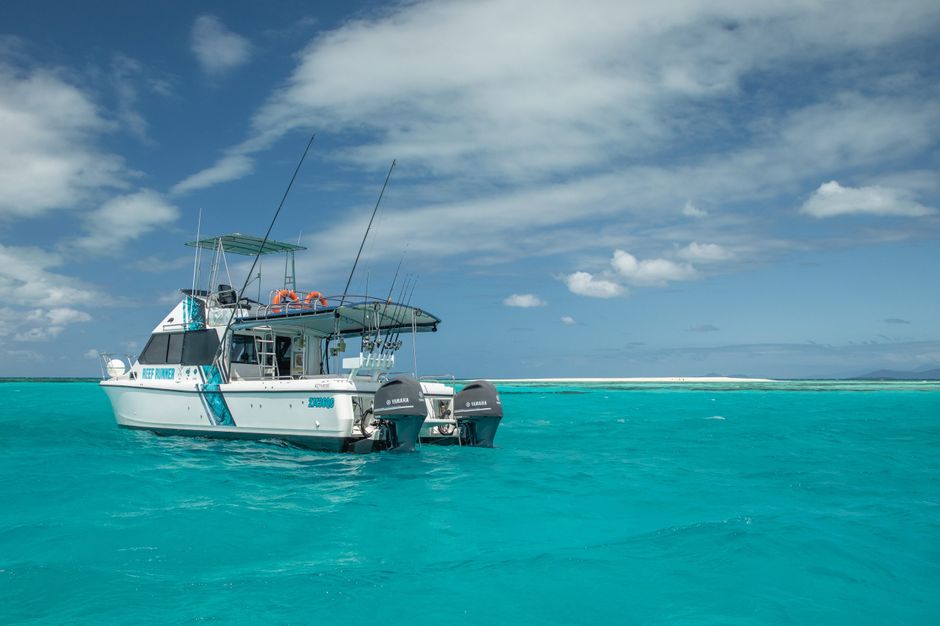 Group celebrating on a private chartered boat