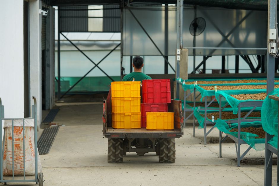 Warehouse workers managing logistics for agricultural exports