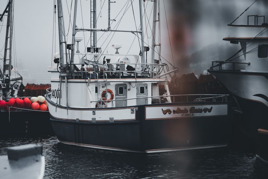 Anglers deep sea fishing from a charter boat