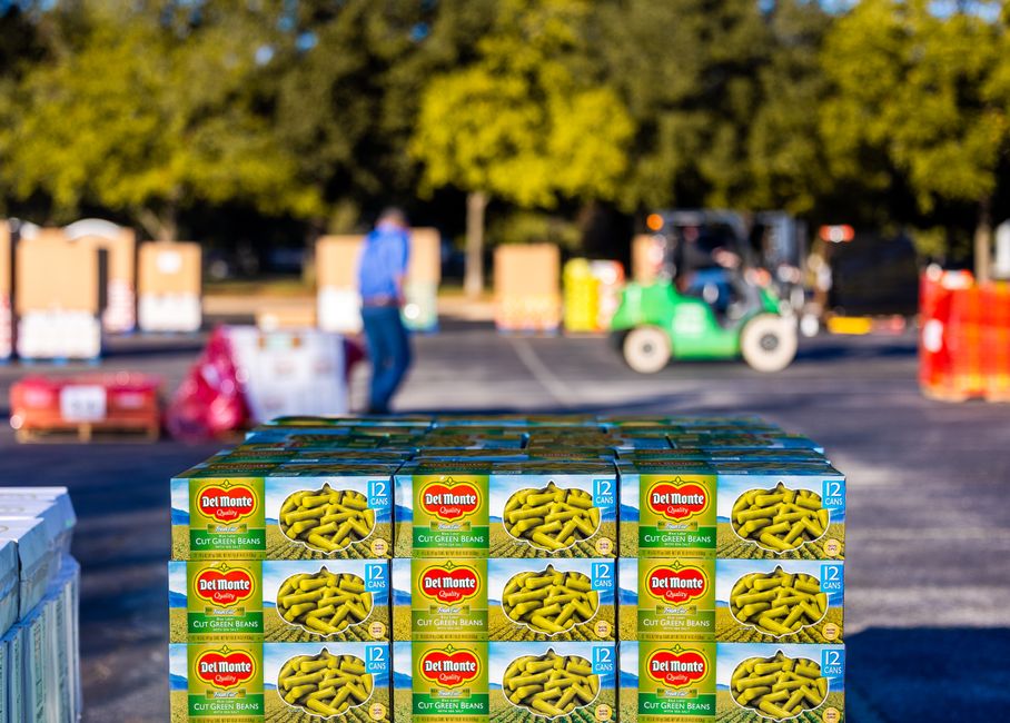 A large shipment of vegetables organized on pallets in a warehouse