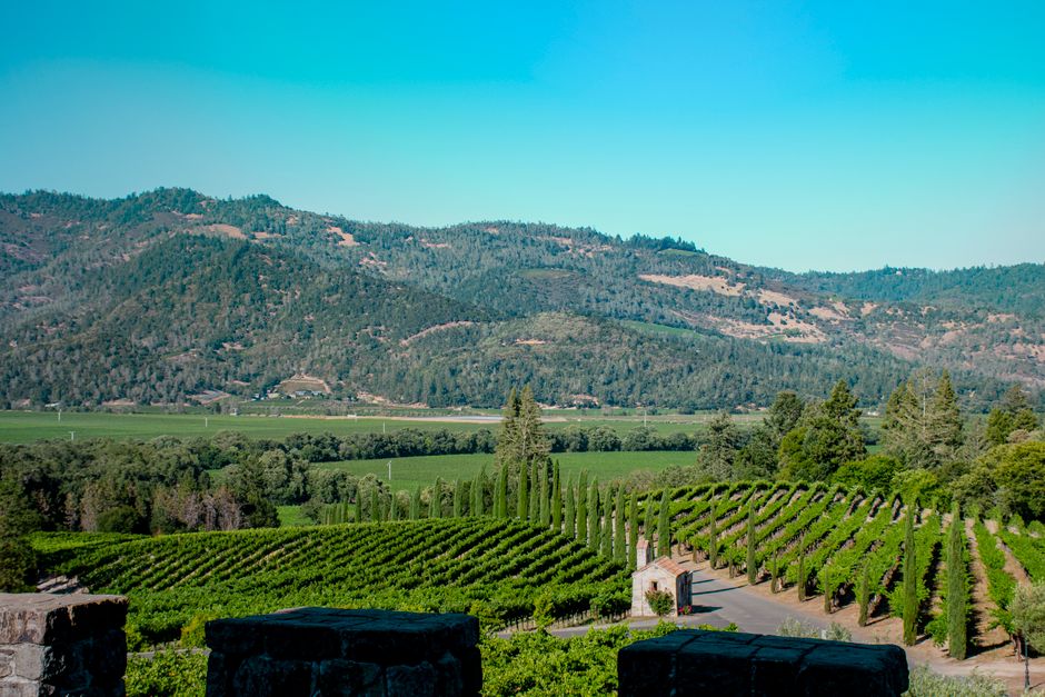 Wine region view from St. Helena real estate