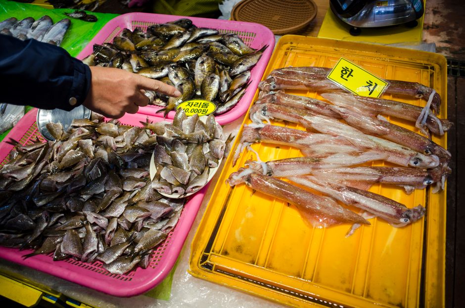 Assorted frozen seafood displayed on trays
