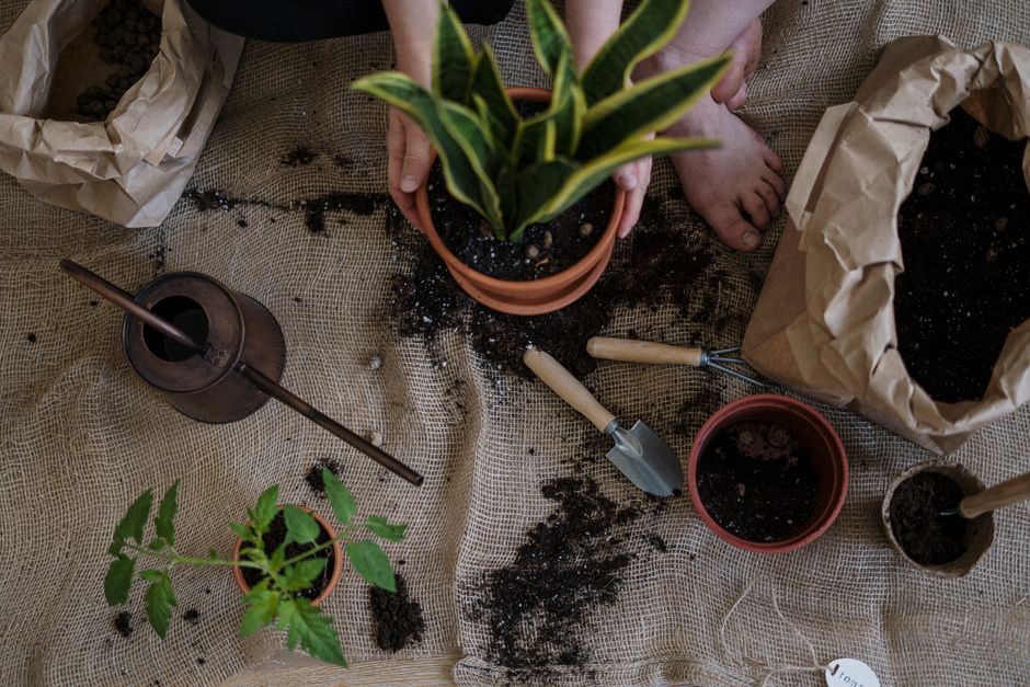 Selection of colorful flower pots with gardening tools on a table.