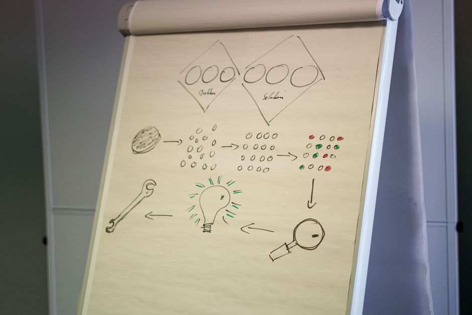 Business consultants mapping out process workflows in a workshop setting