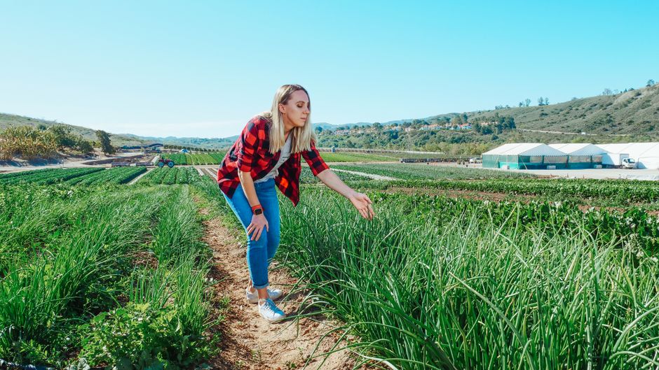 Worker overseeing tasks on a large agricultural ranch