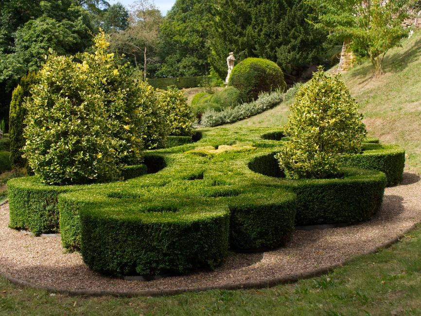 Professional gardener trimming green shrubs outdoors