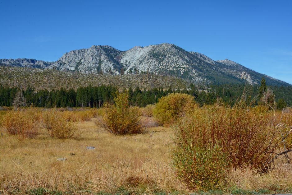 Volunteers organizing wildfire preparedness in the Sierra Nevada