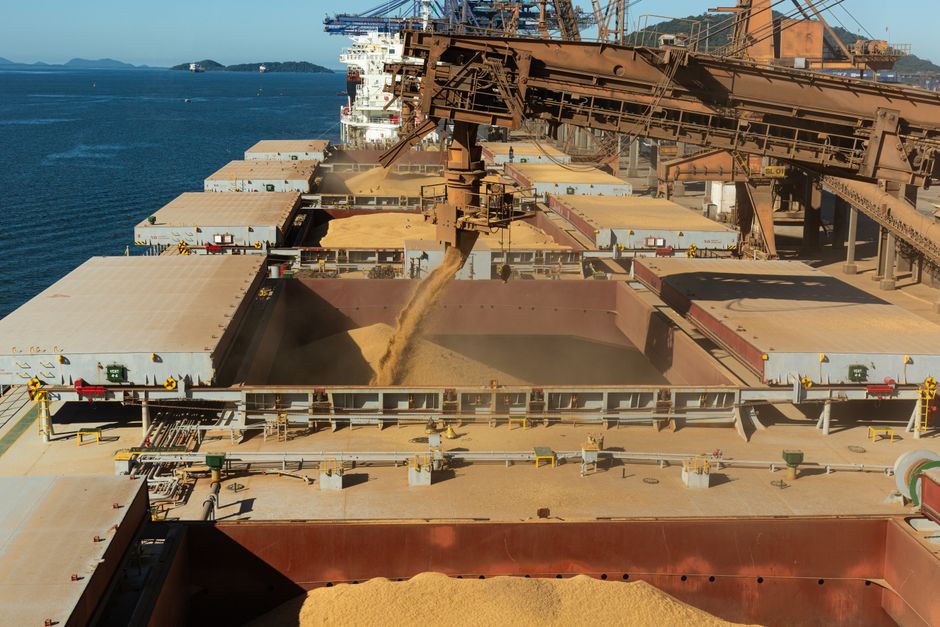 Bulk agricultural export logistics