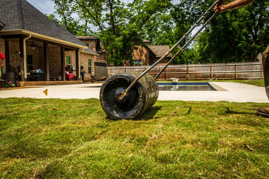 Freshly mowed green lawn in a residential garden