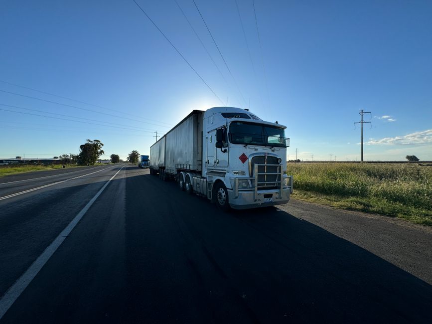 Modern freight trucks transporting goods on a highway