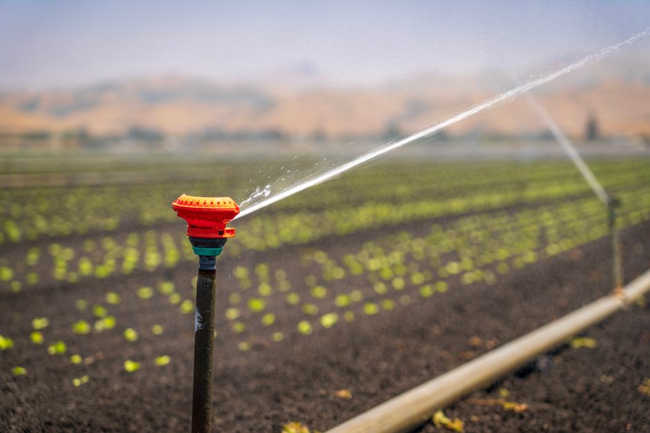 Irrigation-ready farmland after deep ripping