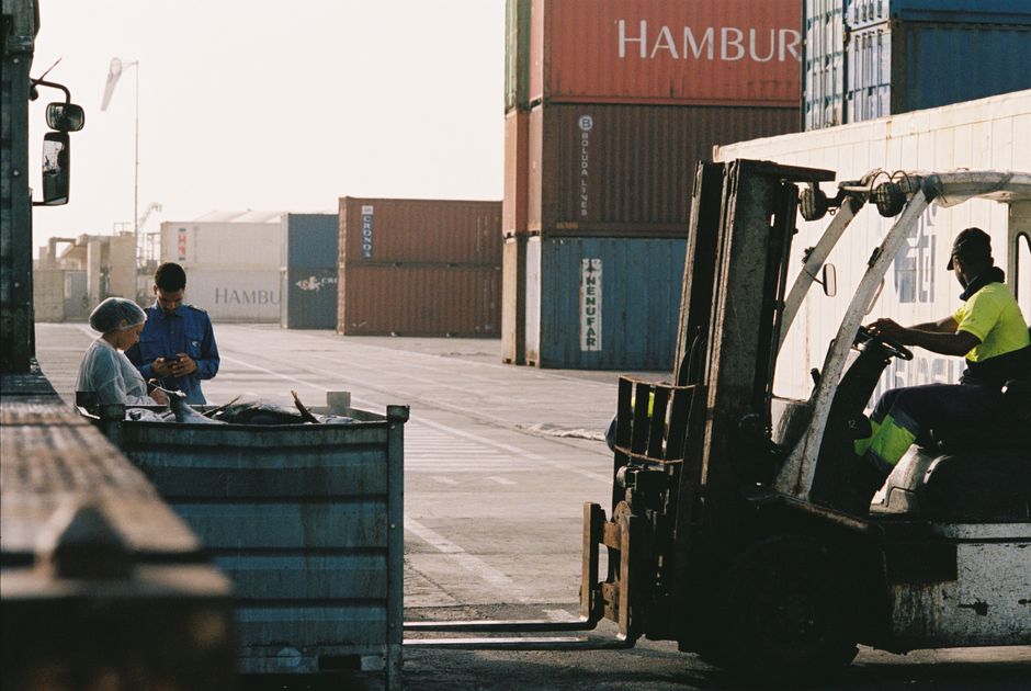 Logistics staff unloading imported food products