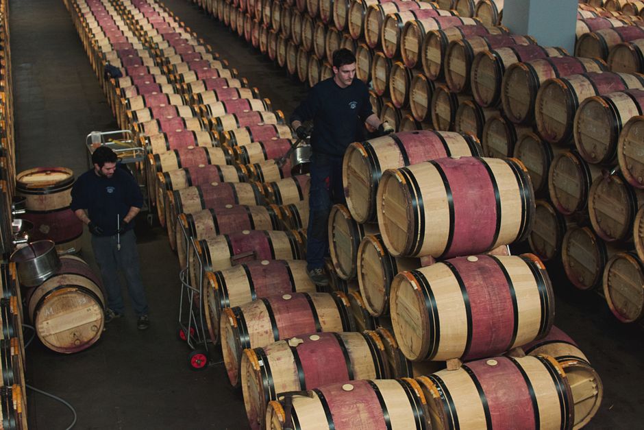 Wine production facility with barrels and steel tanks