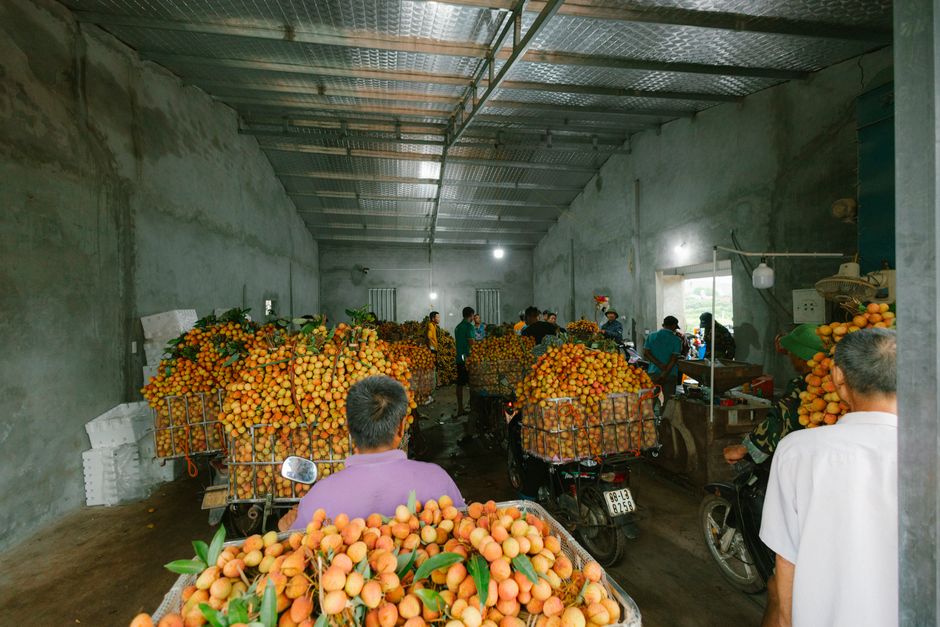 Warehouse with pallets of Asian agricultural produce ready for export