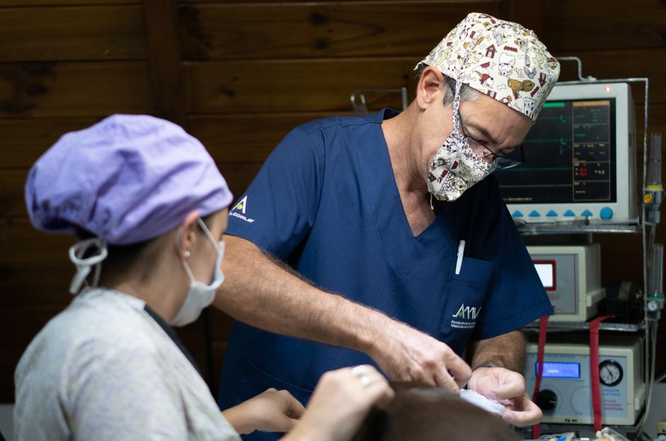 A veterinary team working together in a clinic.