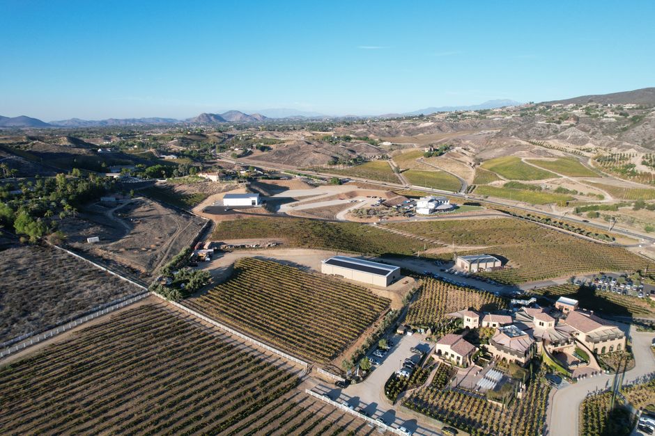 Napa Valley vineyard and luxury real estate
