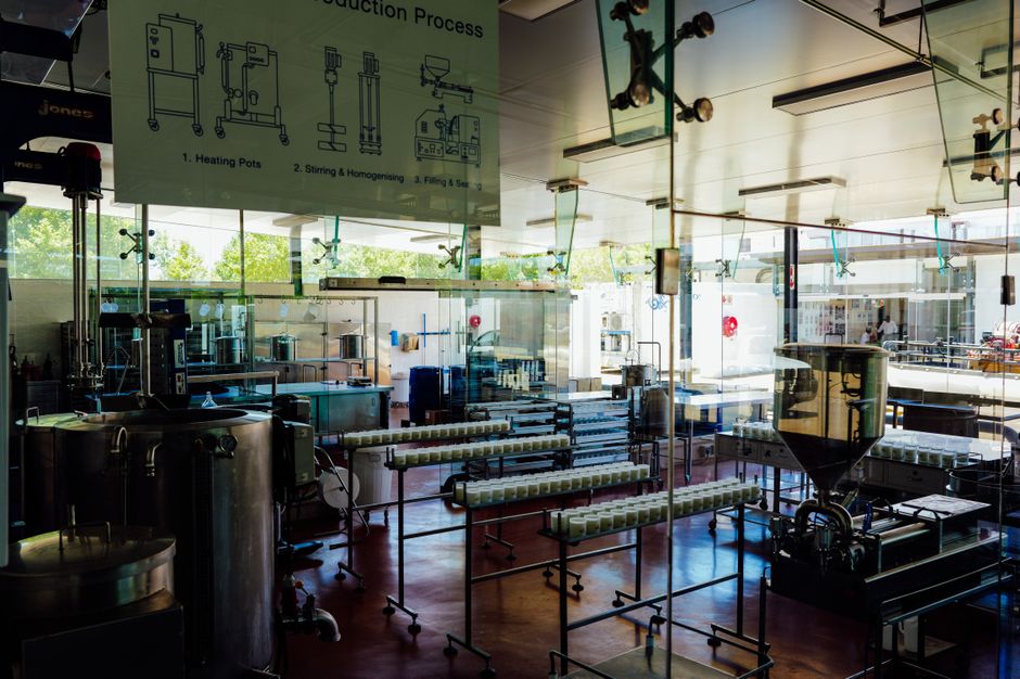Biomanufacturing processes in a facility for therapeutic product production