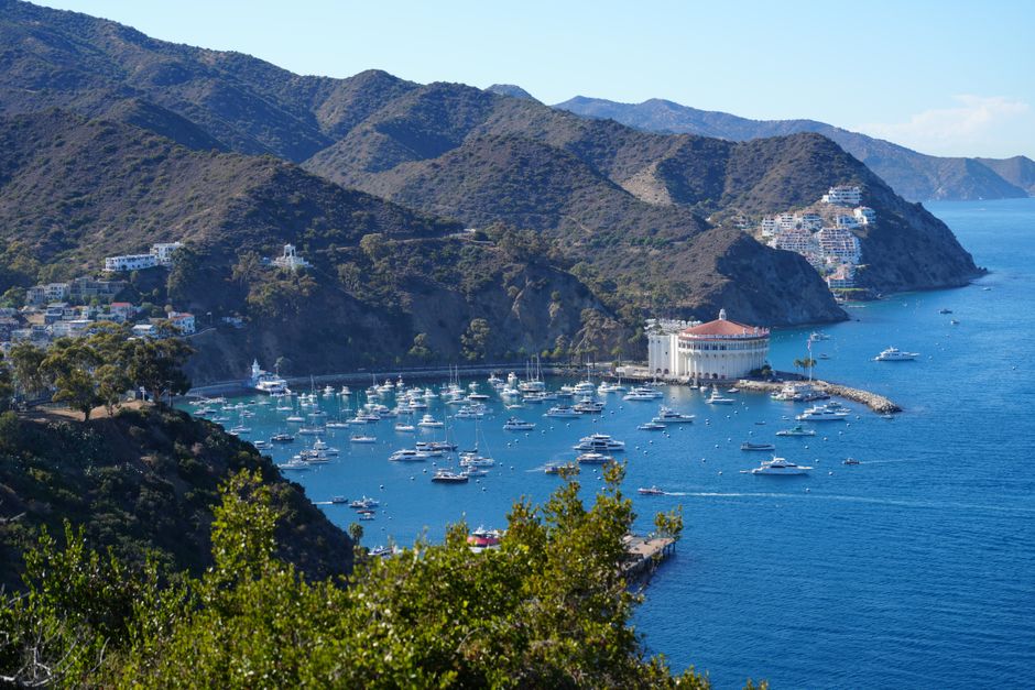 Private group enjoying a chartered marine tour by the Channel Islands