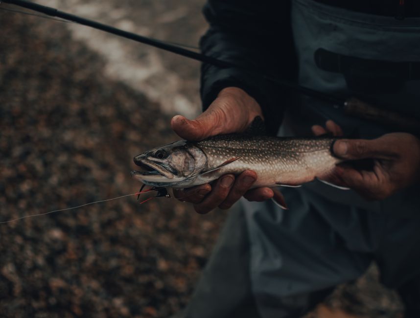 A person browsing fishing gear on a laptop for online purchasing.